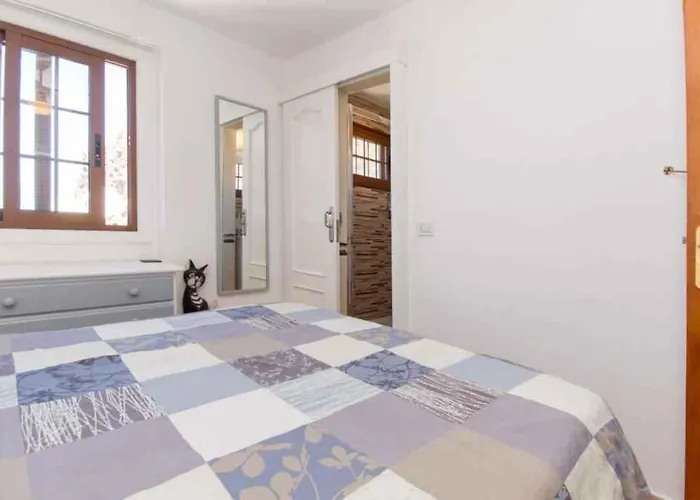 In - Insel Teneriffa 41647 Palm-mar